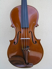 Violino
