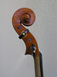 Violino