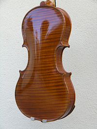 Violino
