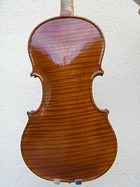 Violino