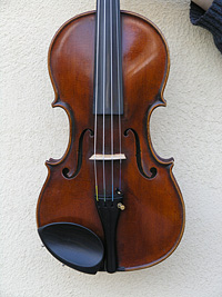 Violino