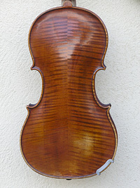 Violino