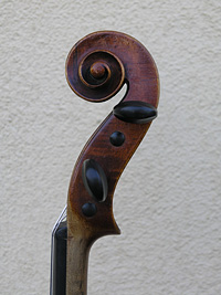 Violino